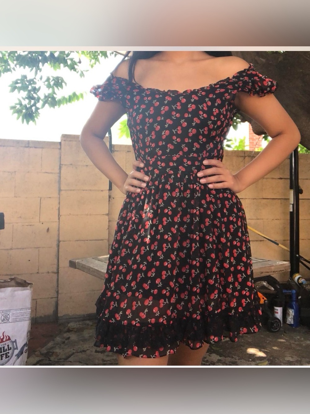 Royal Bones Cherry Dress sz small
